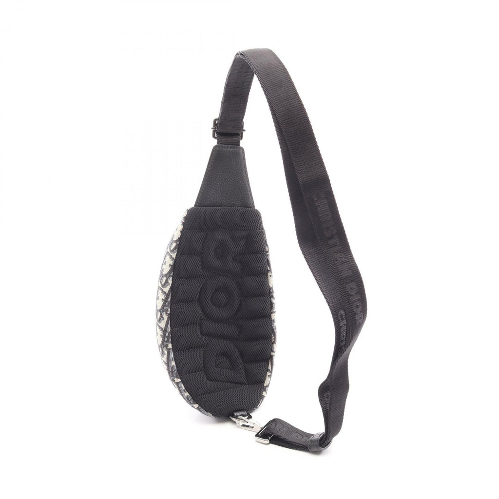 Dior Scarab · Oblique Canvas