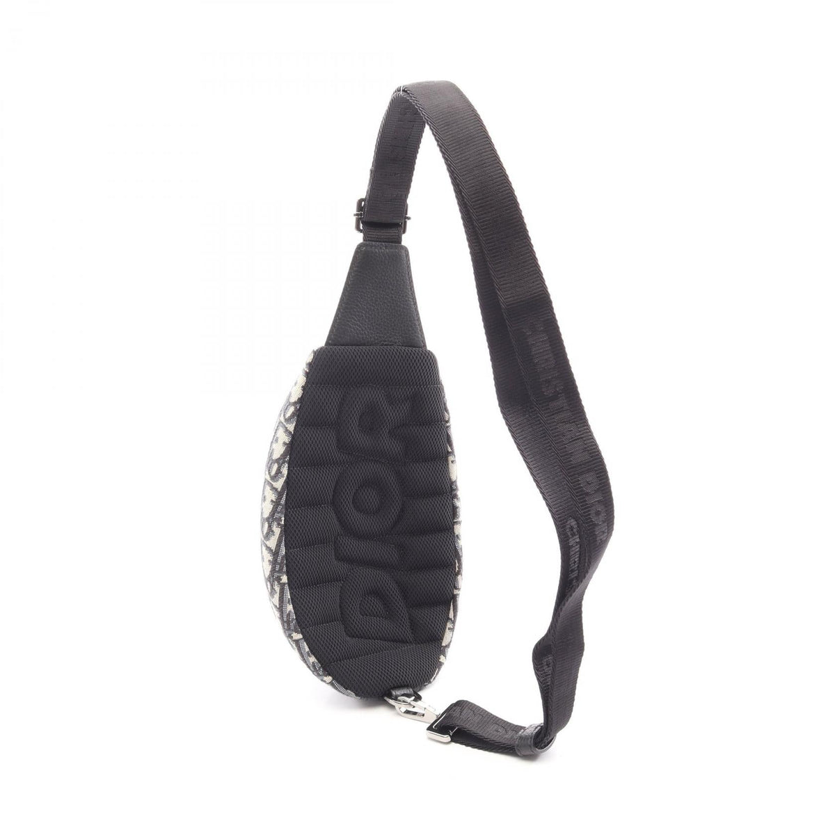 Dior Scarab · Oblique Canvas