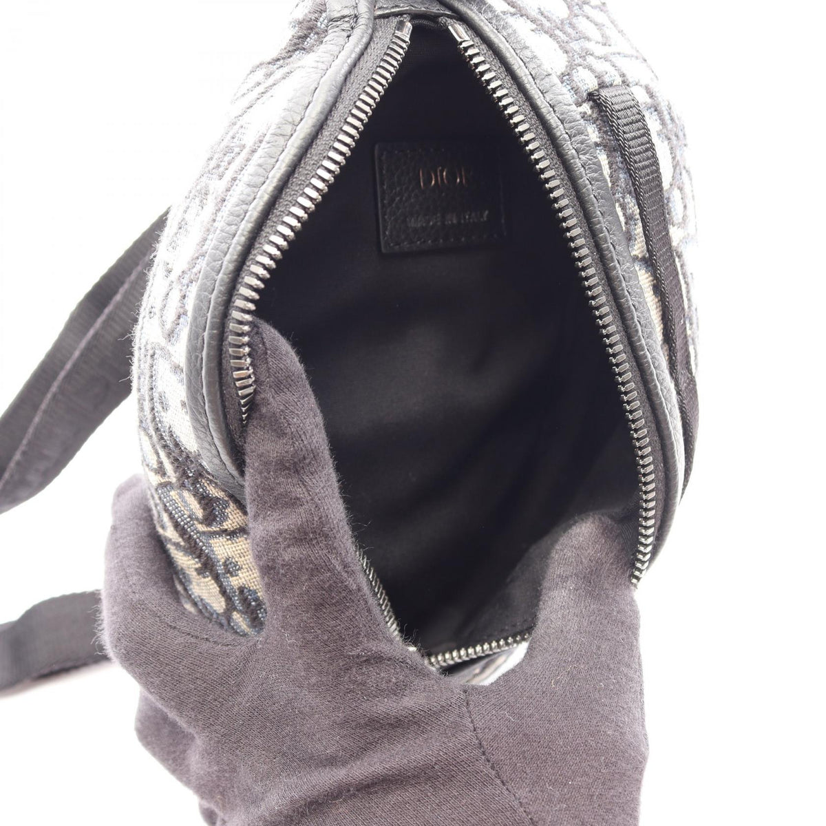 Dior Scarab · Oblique Canvas