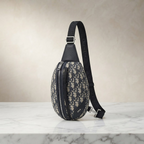 Dior Scarab · Oblique Canvas