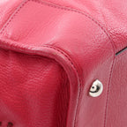 Loewe Amazona 36 · Leather