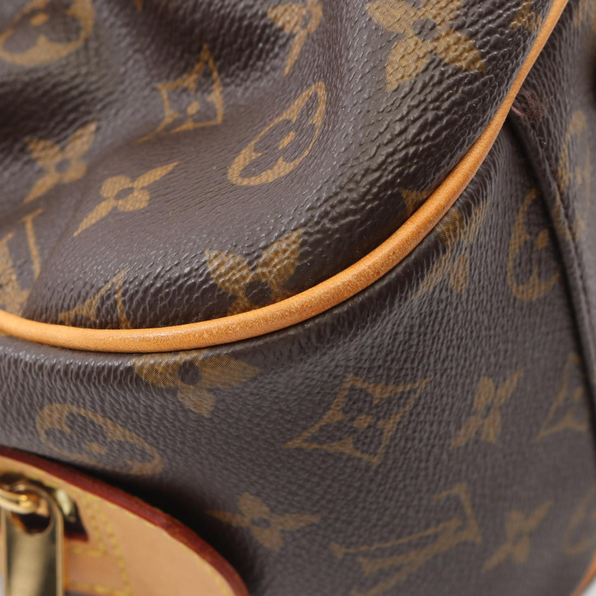 Louis Vuitton Mizi · Monogram Canvas