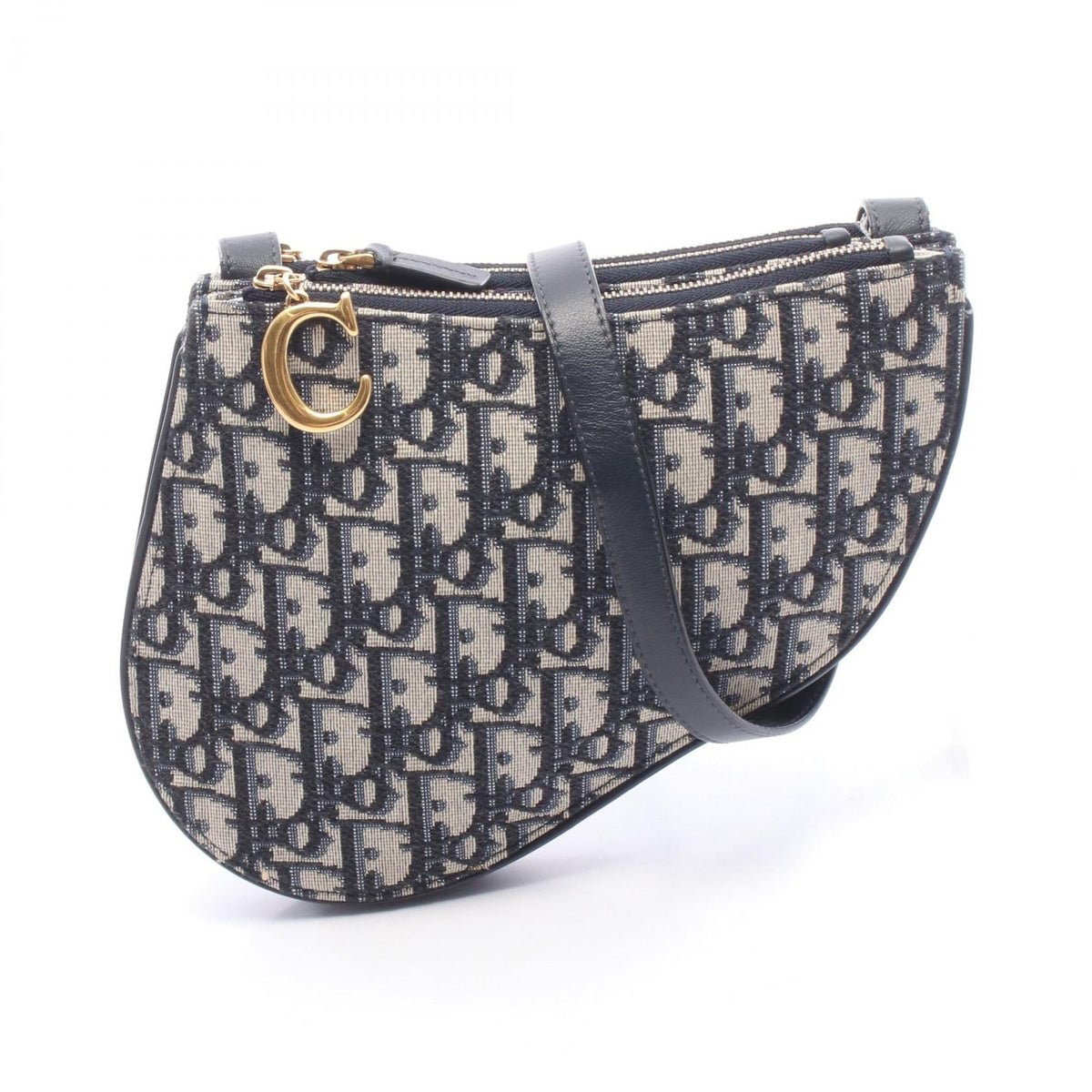 Dior Saddle · Oblique Canvas