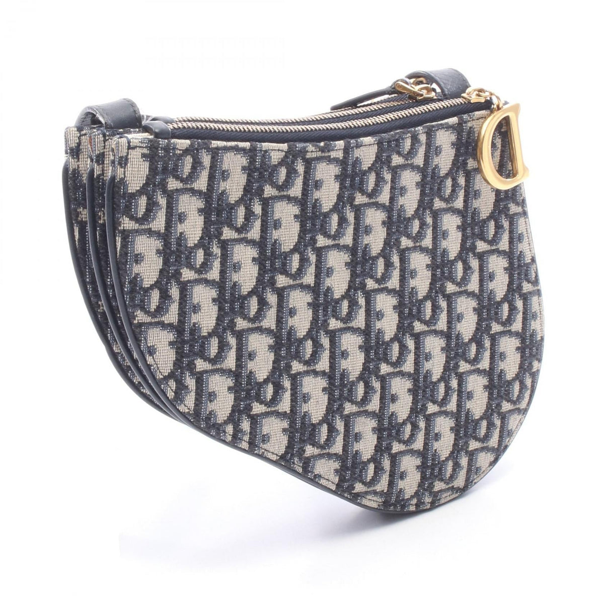 Dior Saddle · Oblique Canvas