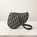 Dior Saddle · Oblique Canvas