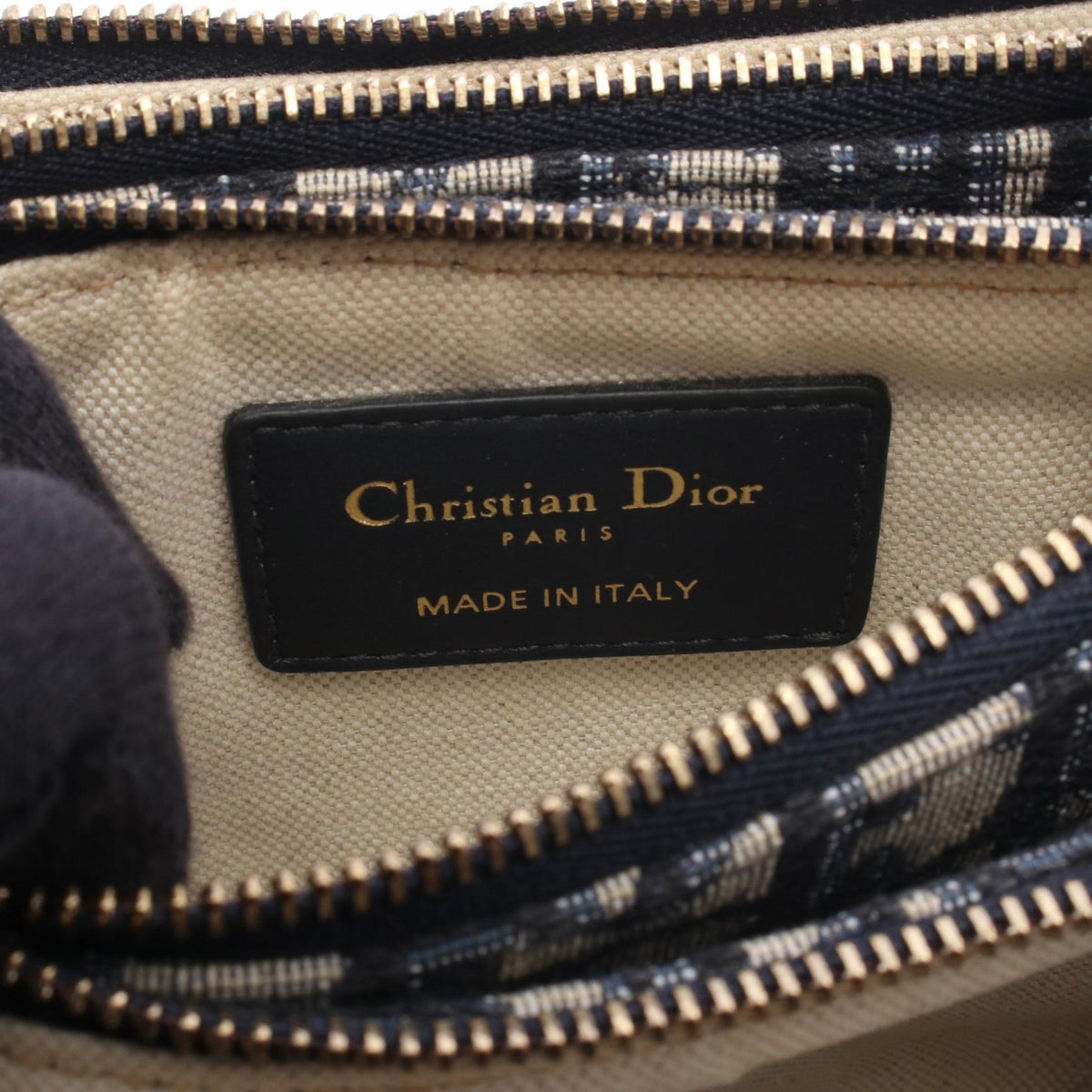Dior Saddle · Oblique Canvas