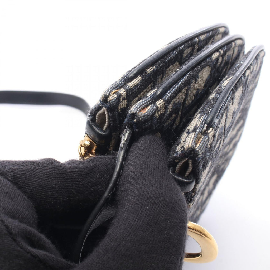 Dior Saddle · Oblique Canvas