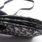Dior Saddle · Oblique Canvas