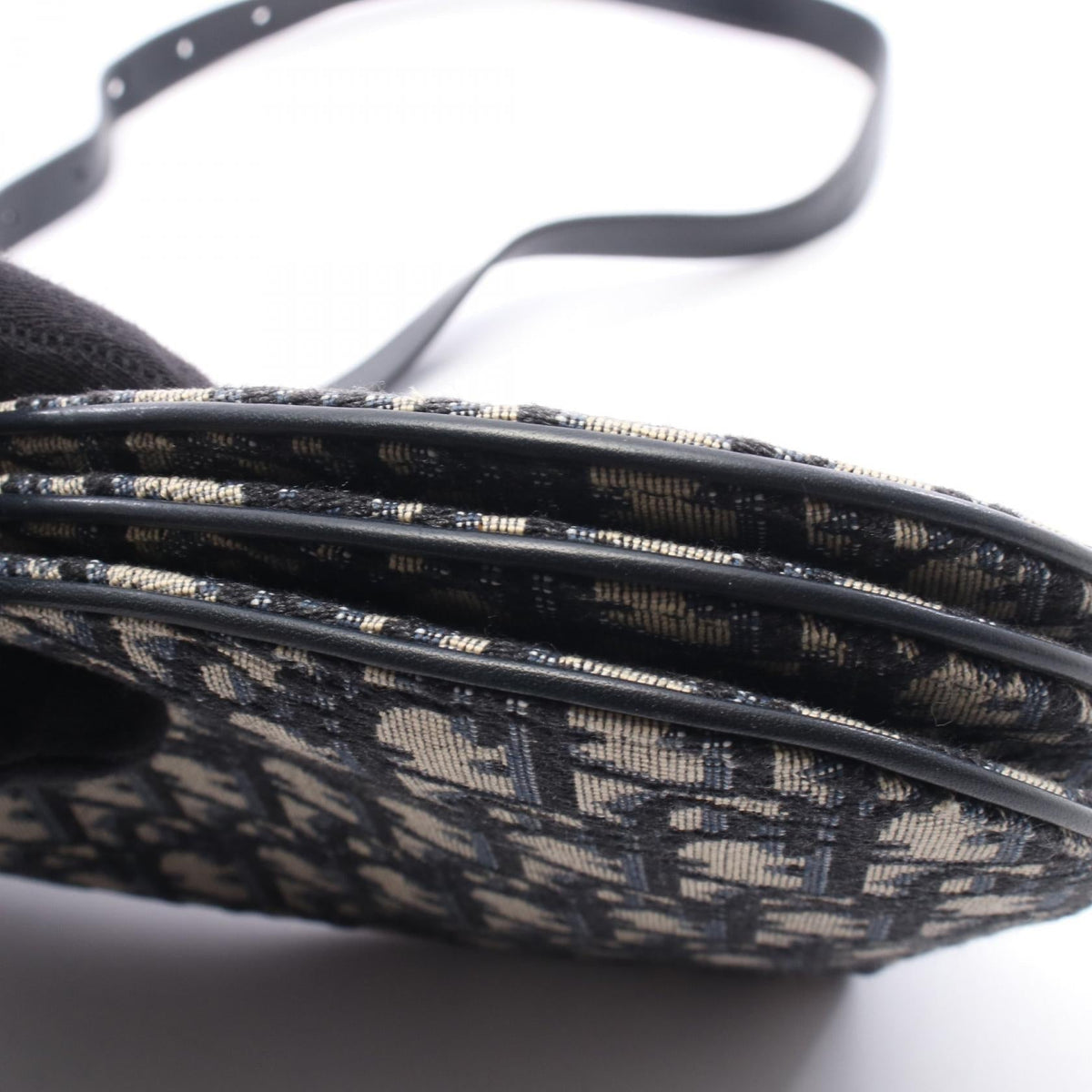 Dior Saddle · Oblique Canvas