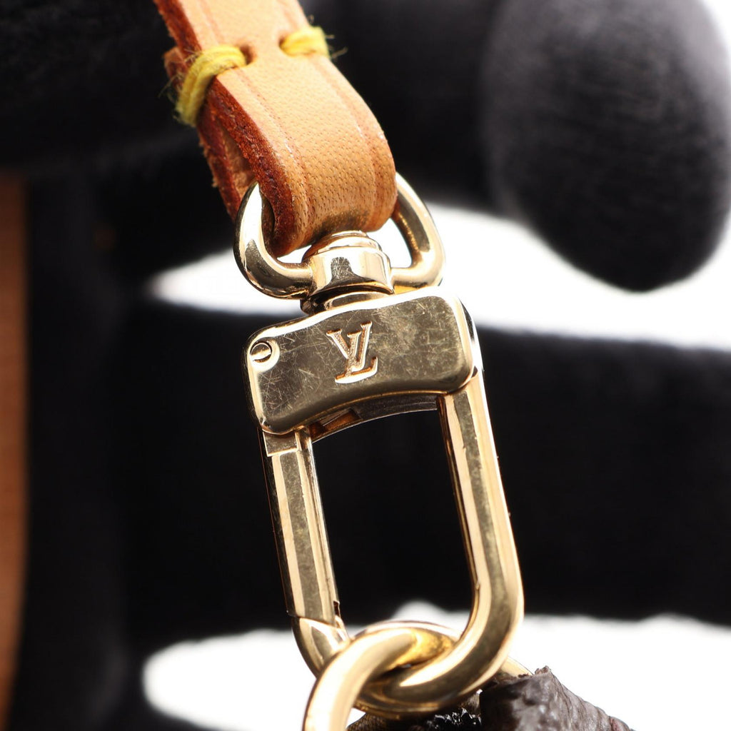 Louis Vuitton Pochette Accessoires · Monogram