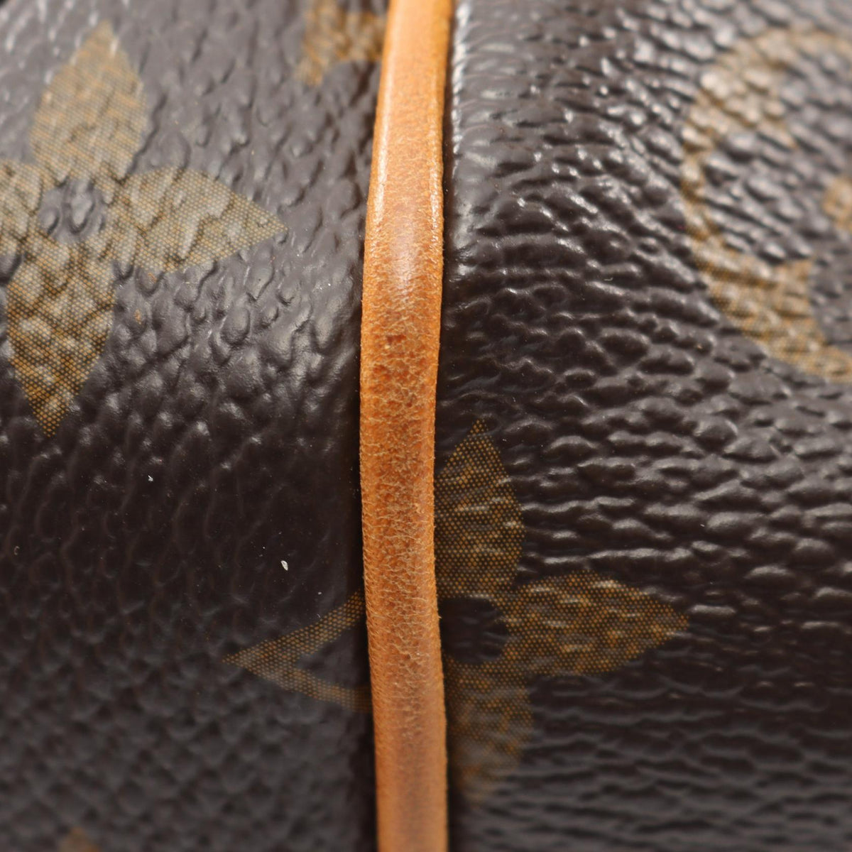 LOUIS VUITTON Totally PM · Monogram