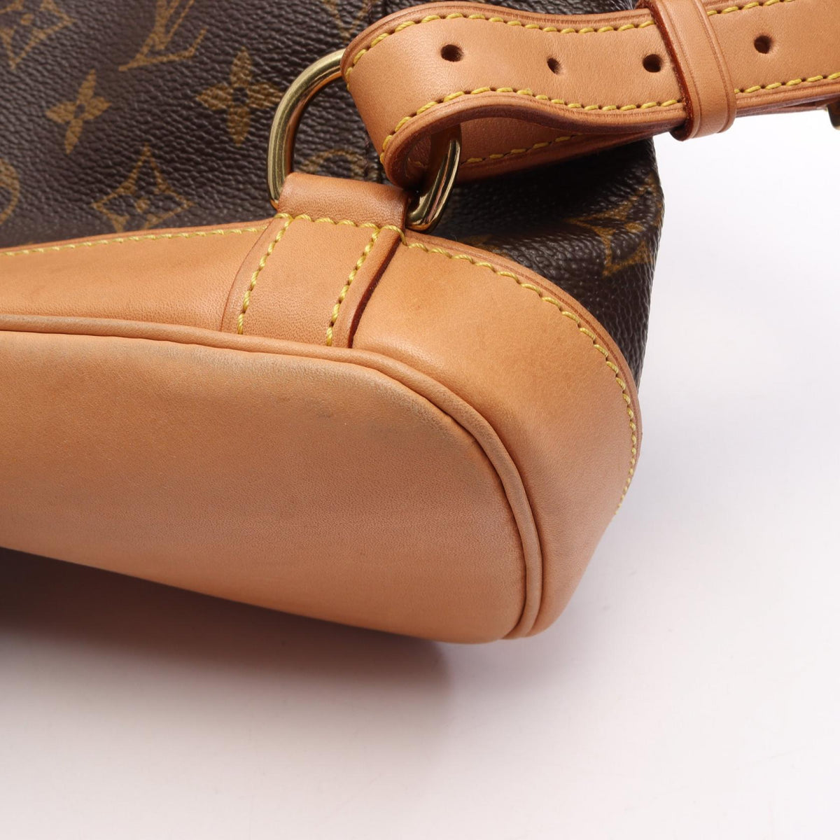 Louis Vuitton Montsouris MM · Monogram Canvas