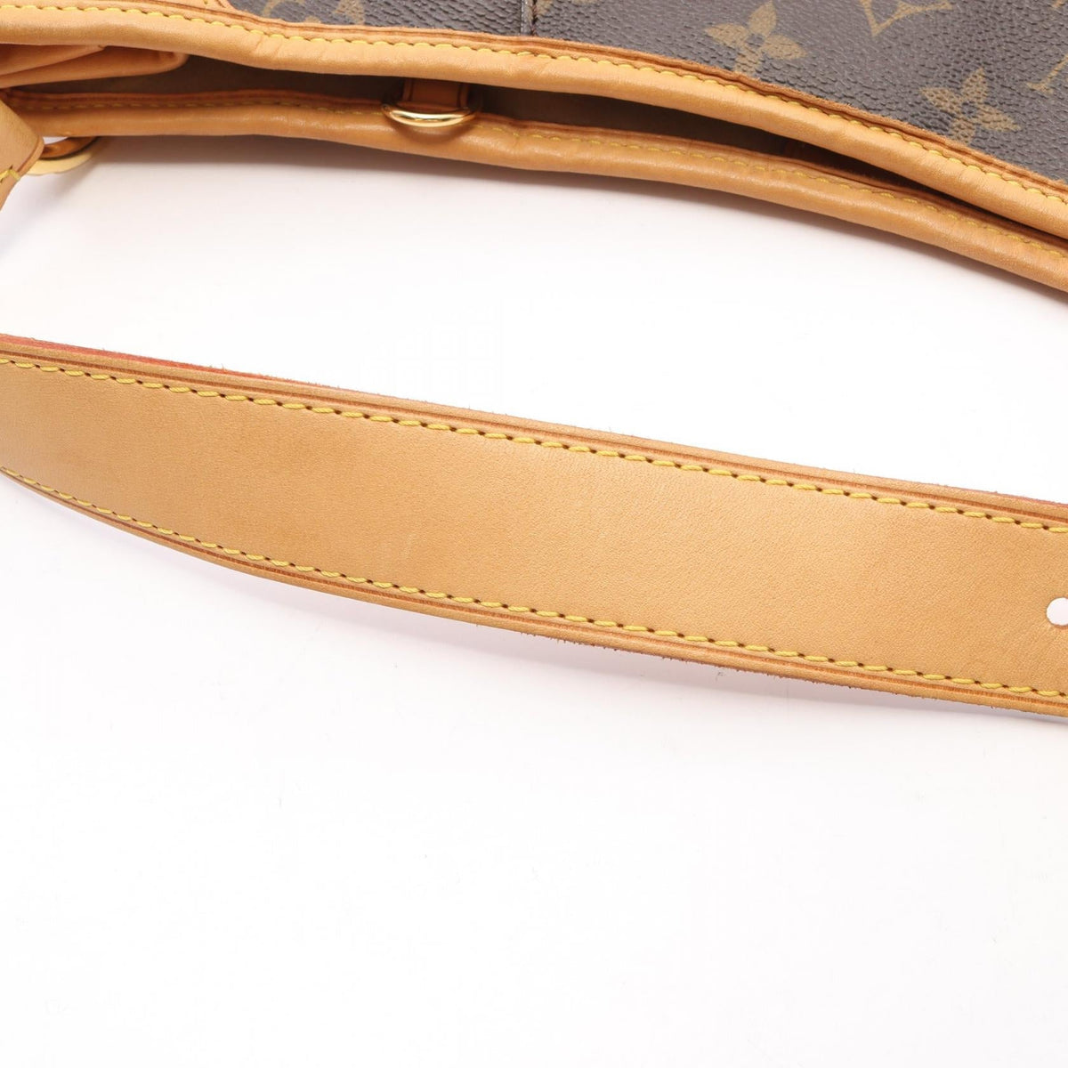 Louis Vuitton Galliera PM · Monogram Canvas