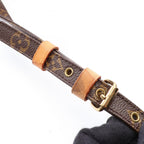 Louis Vuitton Amazon · Monogram Crossbody