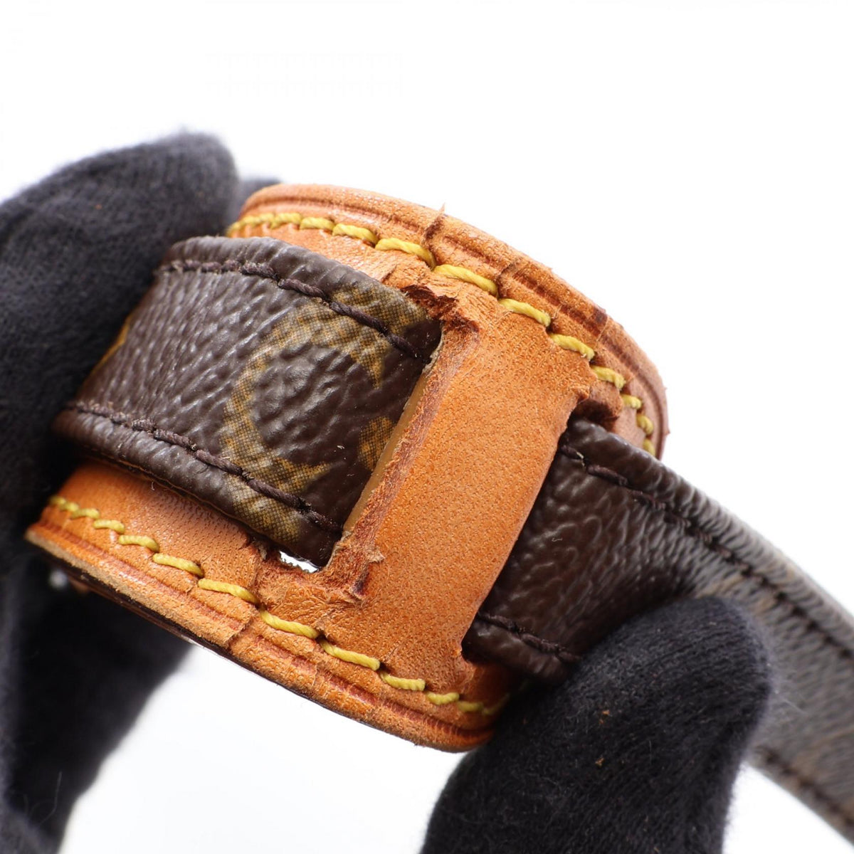 Louis Vuitton Amazon · Monogram Crossbody