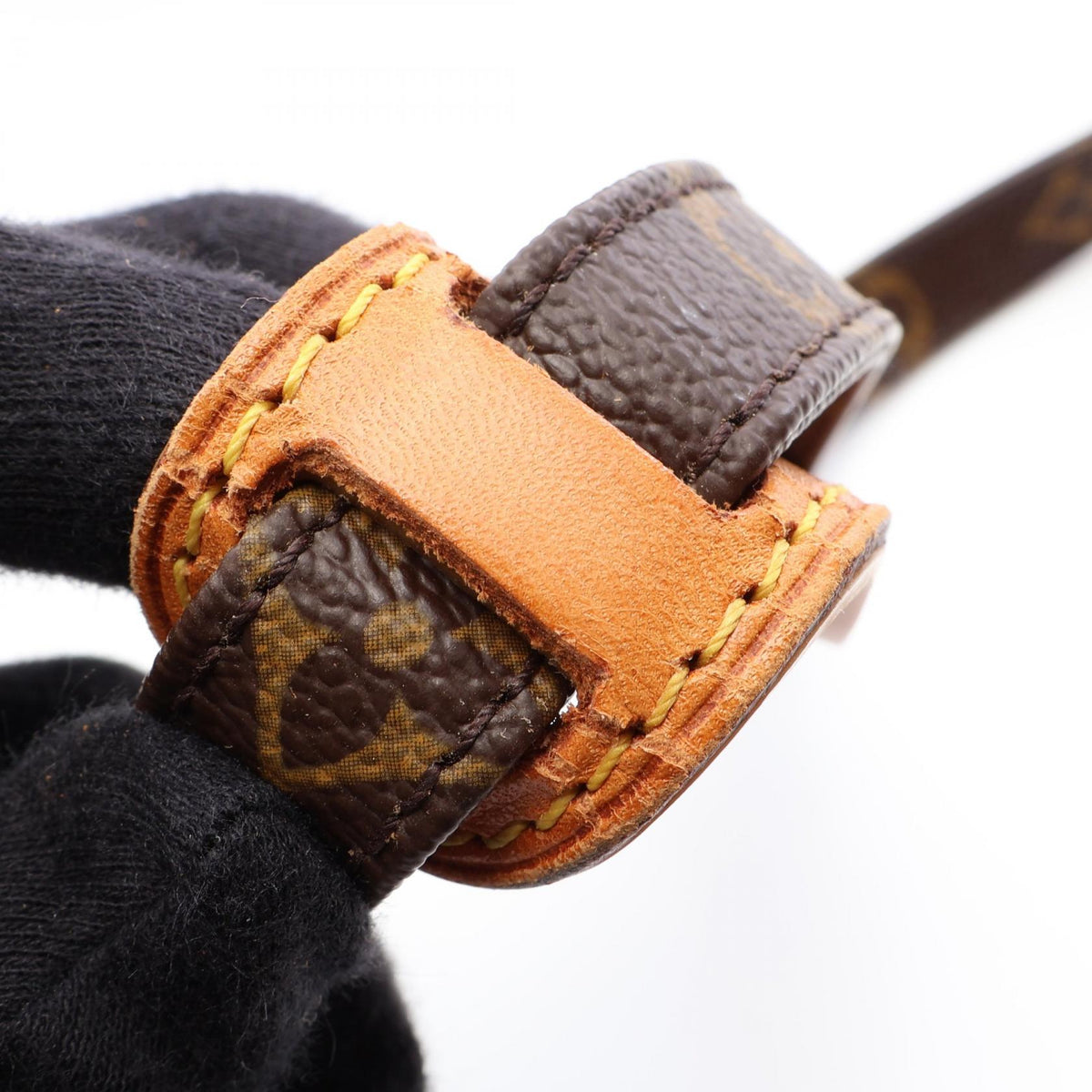 Louis Vuitton Amazon · Monogram Crossbody