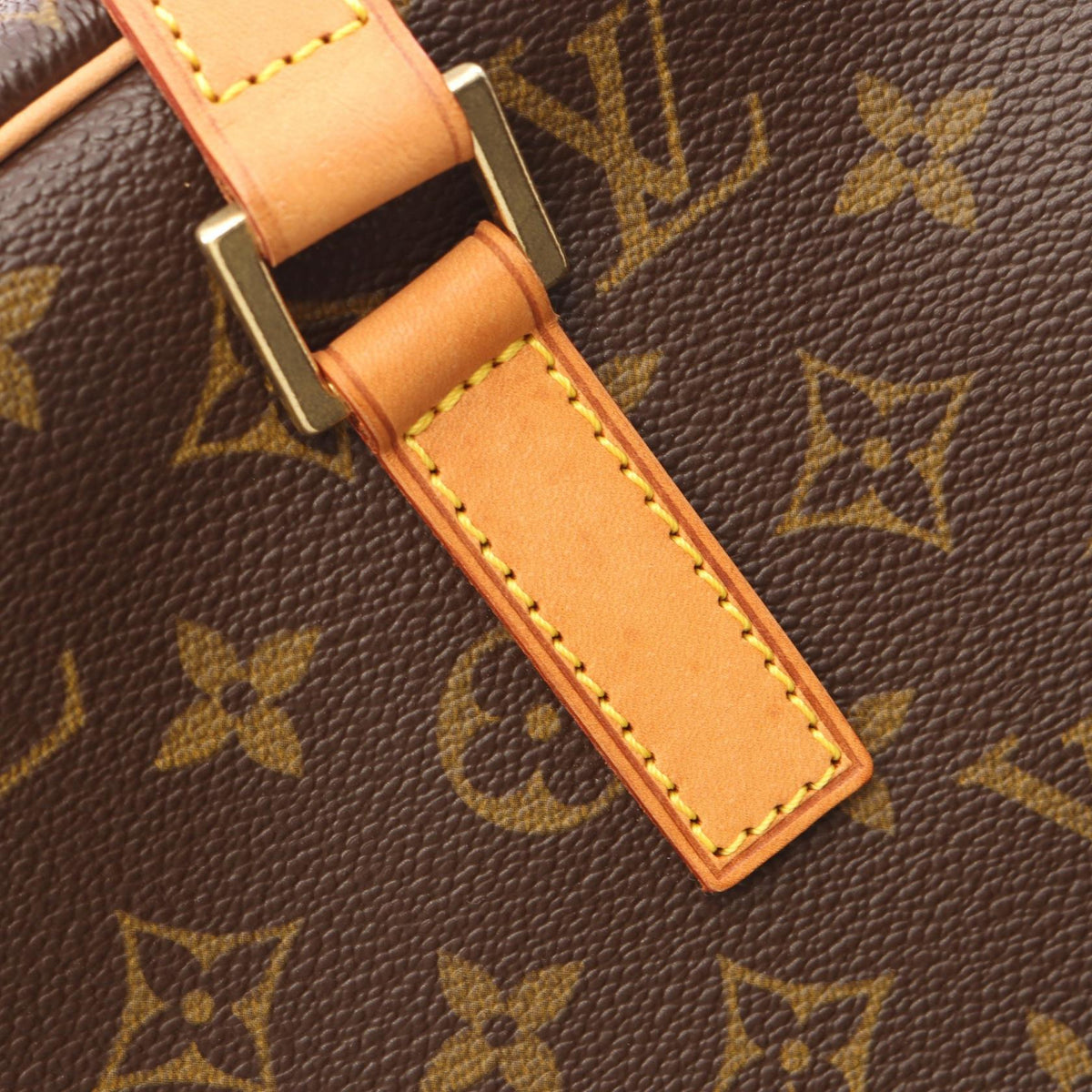 Louis Vuitton Cite GM · Monogram