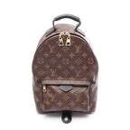 Louis Vuitton Palm Springs PM · Monogram