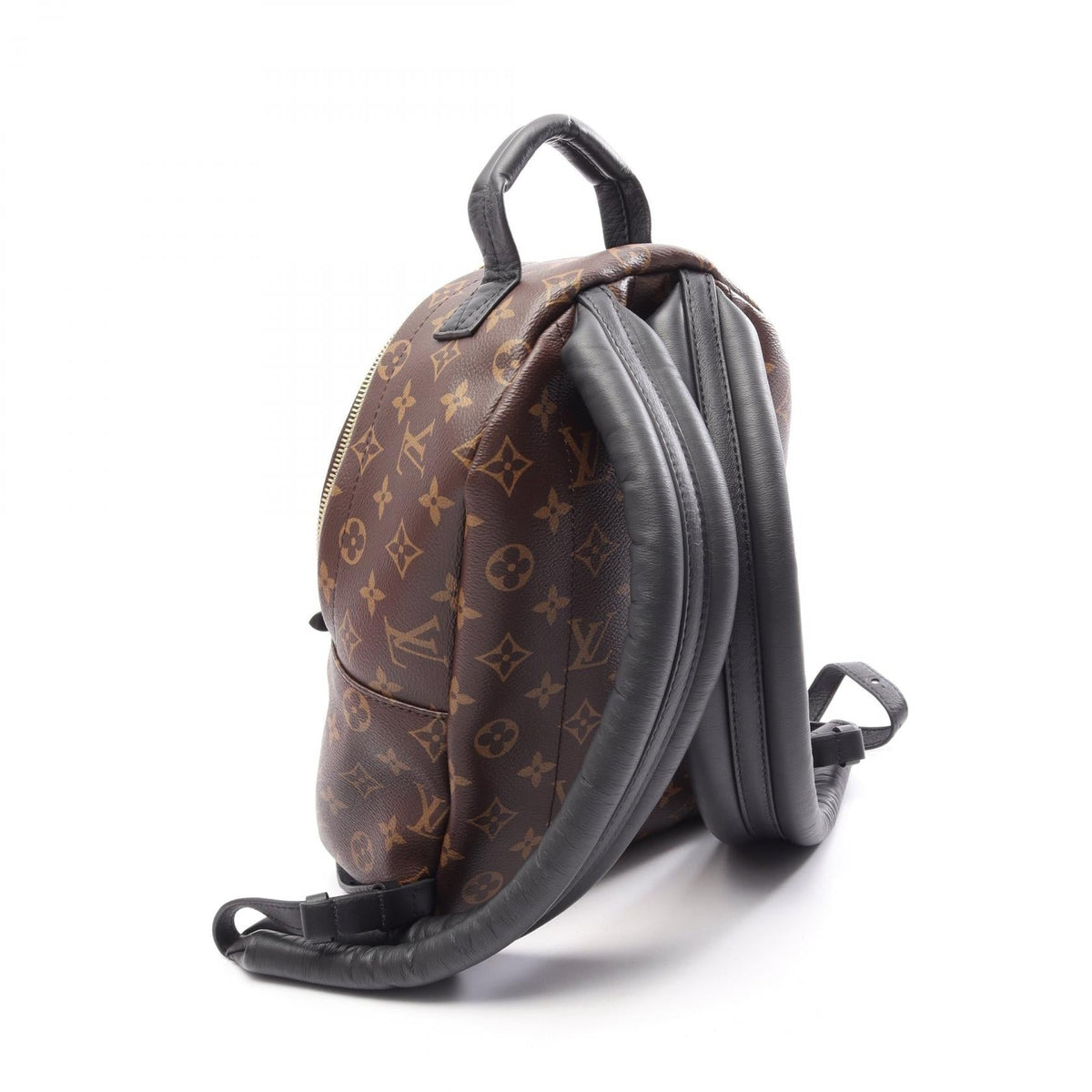 Louis Vuitton Palm Springs PM · Monogram