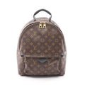 Louis Vuitton Palm Springs MM · Monogram