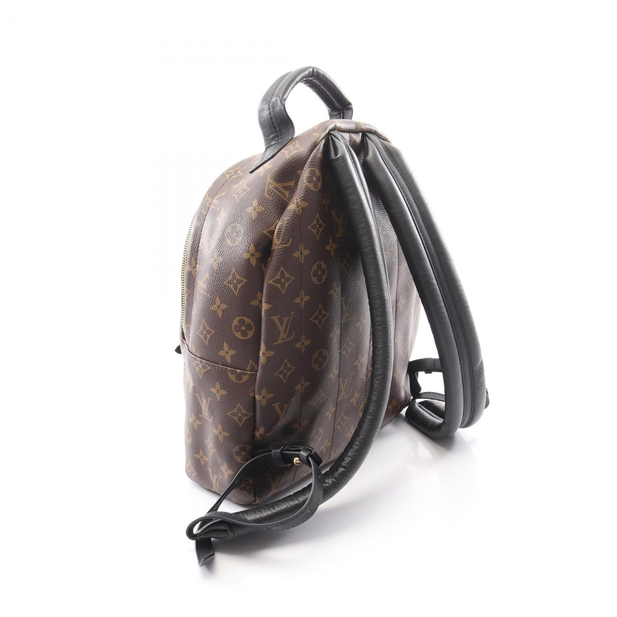 Louis Vuitton Palm Springs MM · Monogram