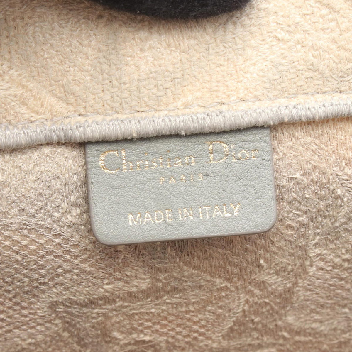 Dior Book Tote · Large · Canvas