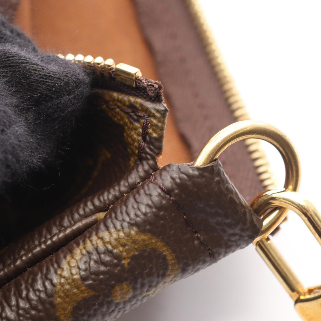 Louis Vuitton Pochette Accessoires · Monogram
