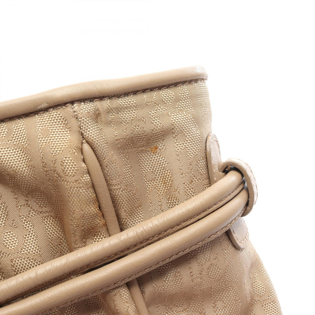Dior Trotter · Canvas Tote