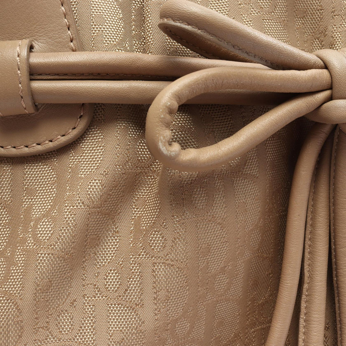 Dior Trotter · Canvas Tote