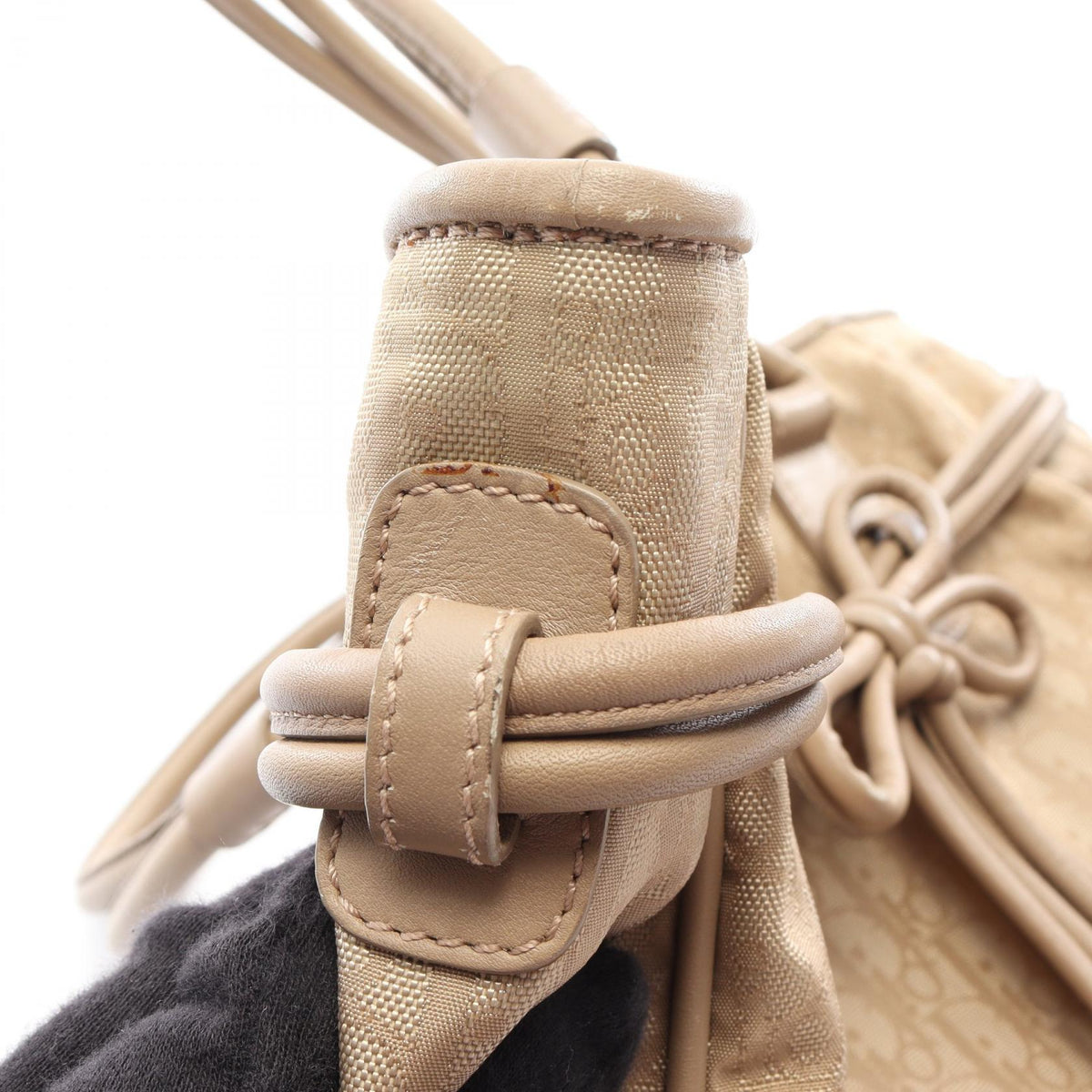 Dior Trotter · Canvas Tote