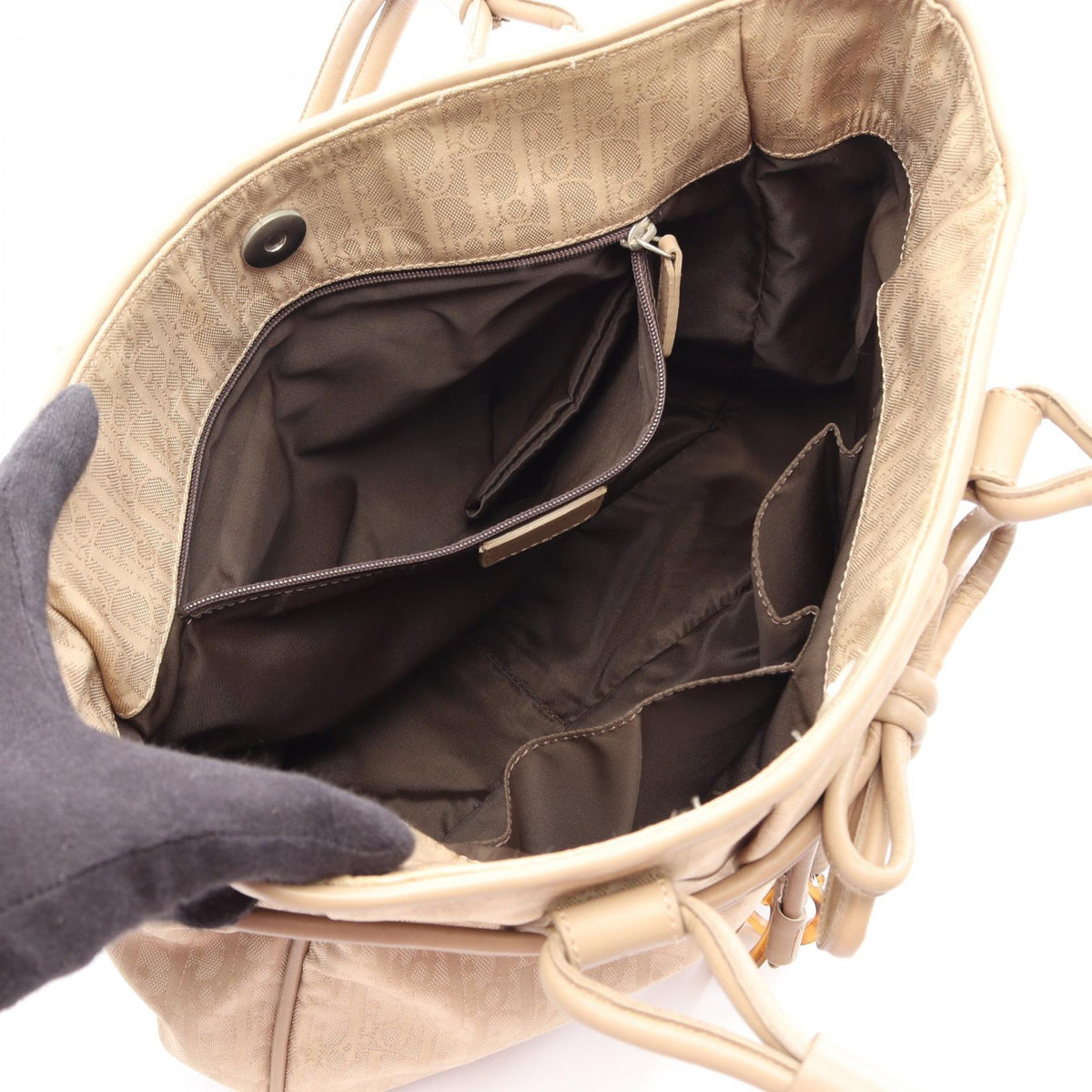 Dior Trotter · Canvas Tote