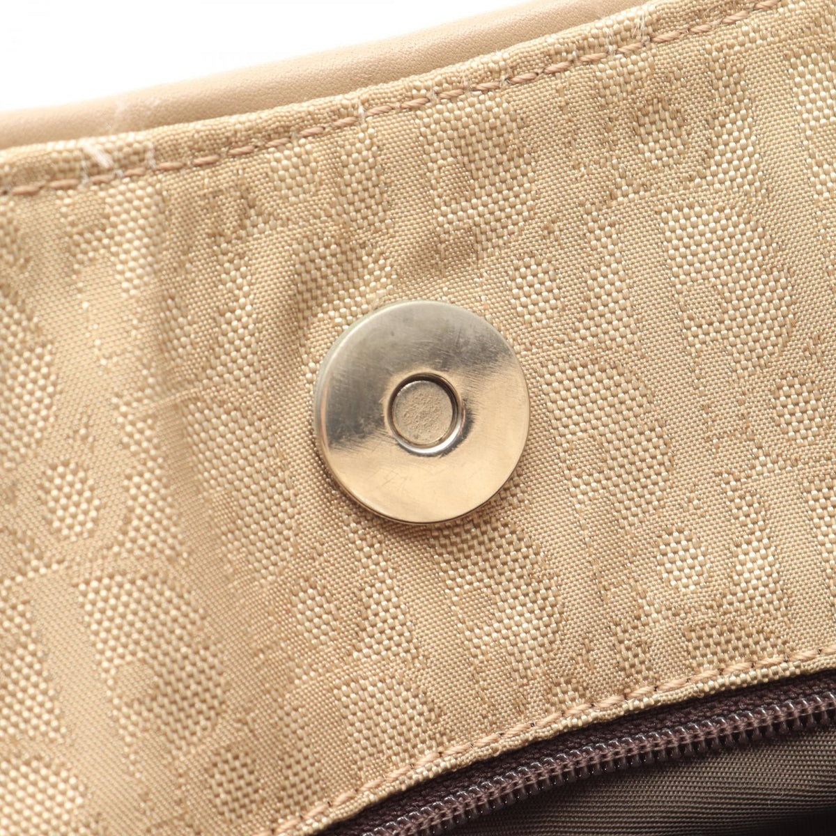 Dior Trotter · Canvas Tote