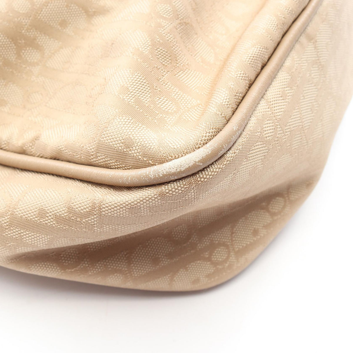 Dior Trotter · Canvas Tote