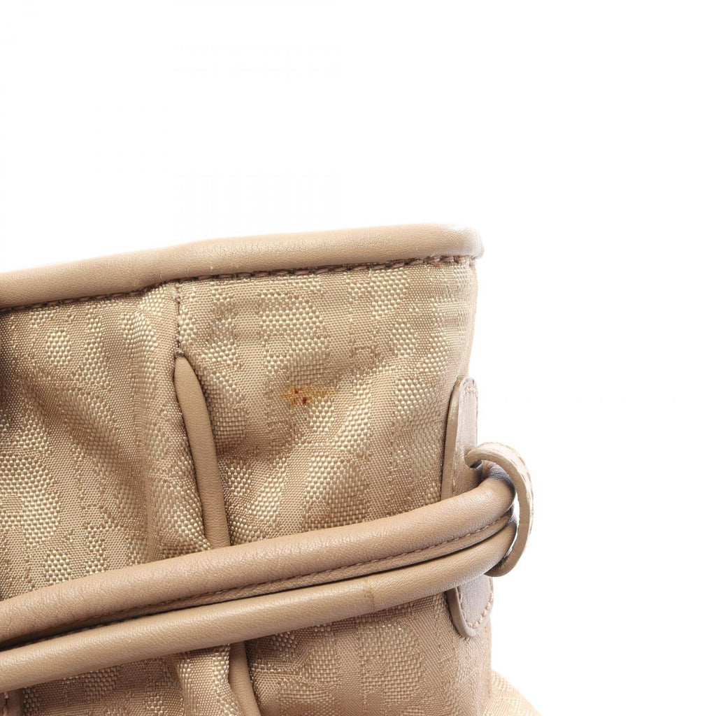 Dior Trotter · Canvas Tote