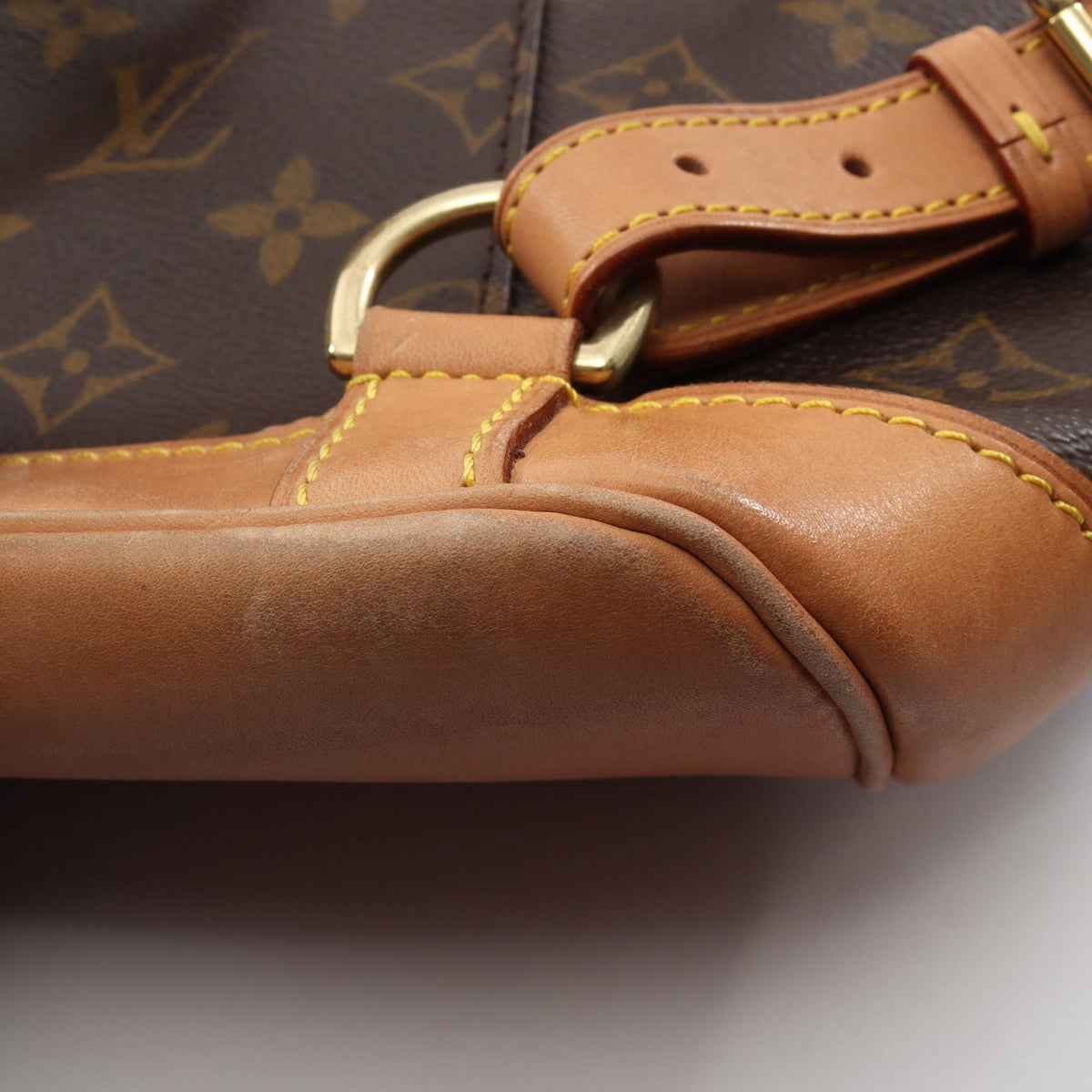 Louis Vuitton Montsouris MM · Monogram