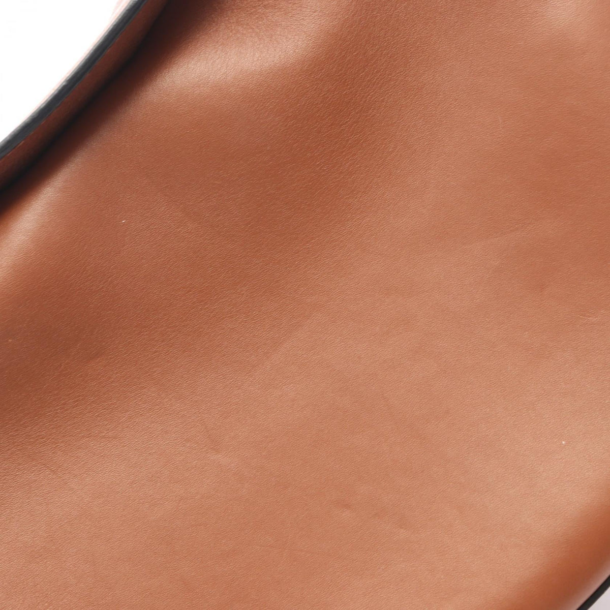 Loewe Luna · Leather
