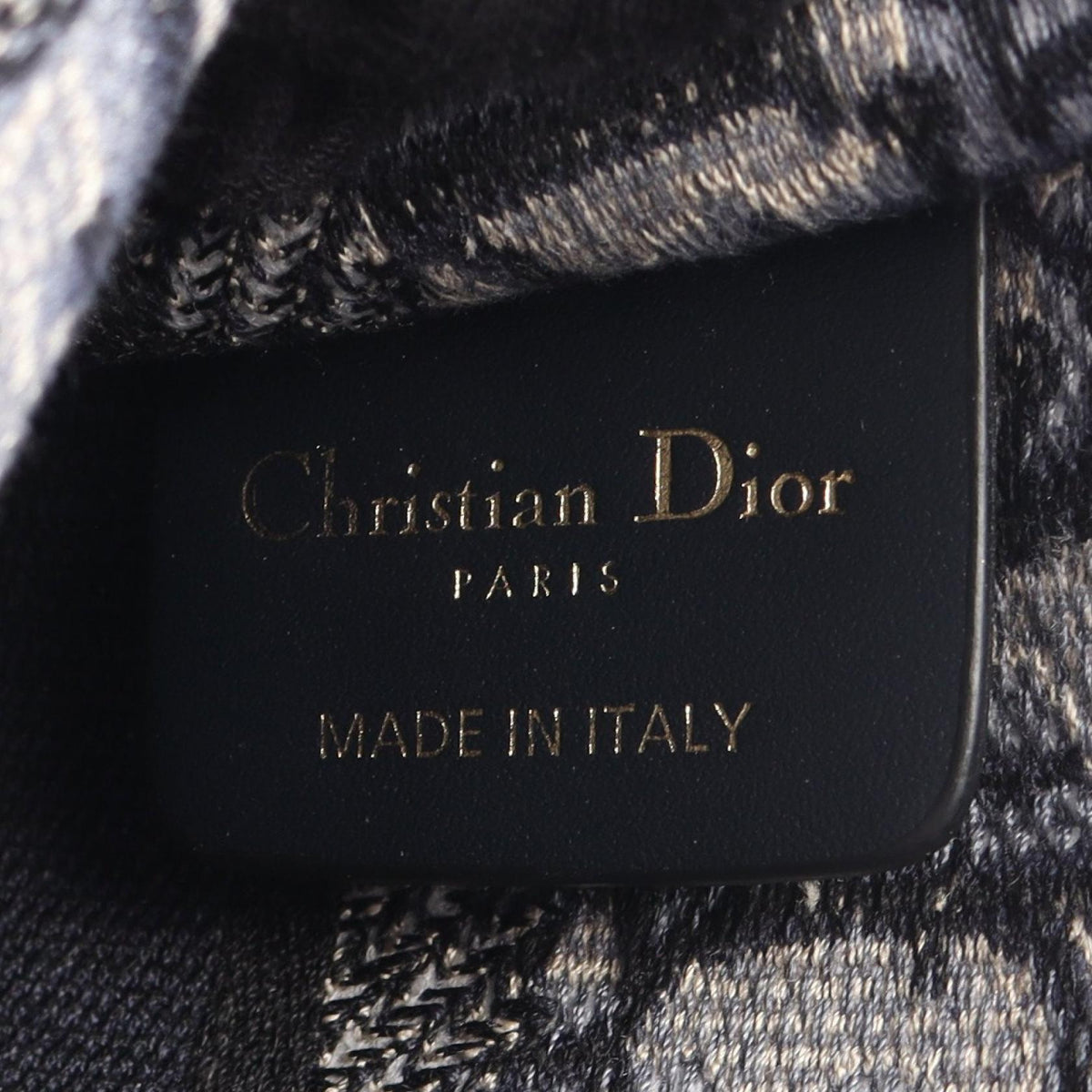 DIOR Book Tote Mini · Embroidered Canvas