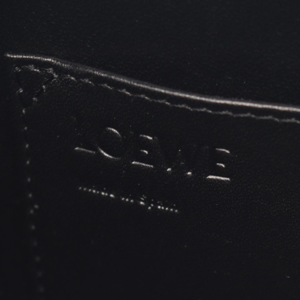 Loewe Postal Small · City Paris Edition