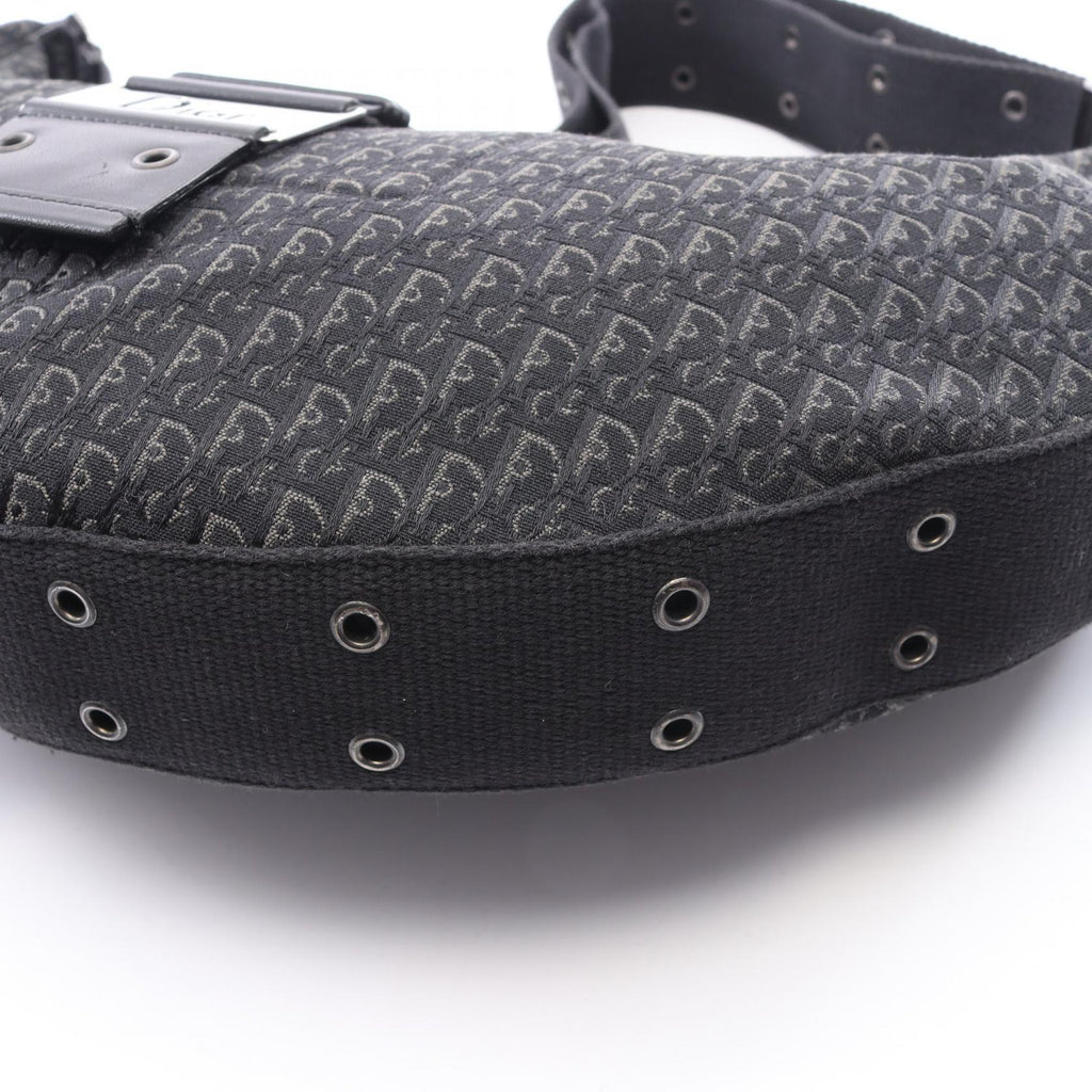 Dior Street Chic Trotter · Canvas & Leather