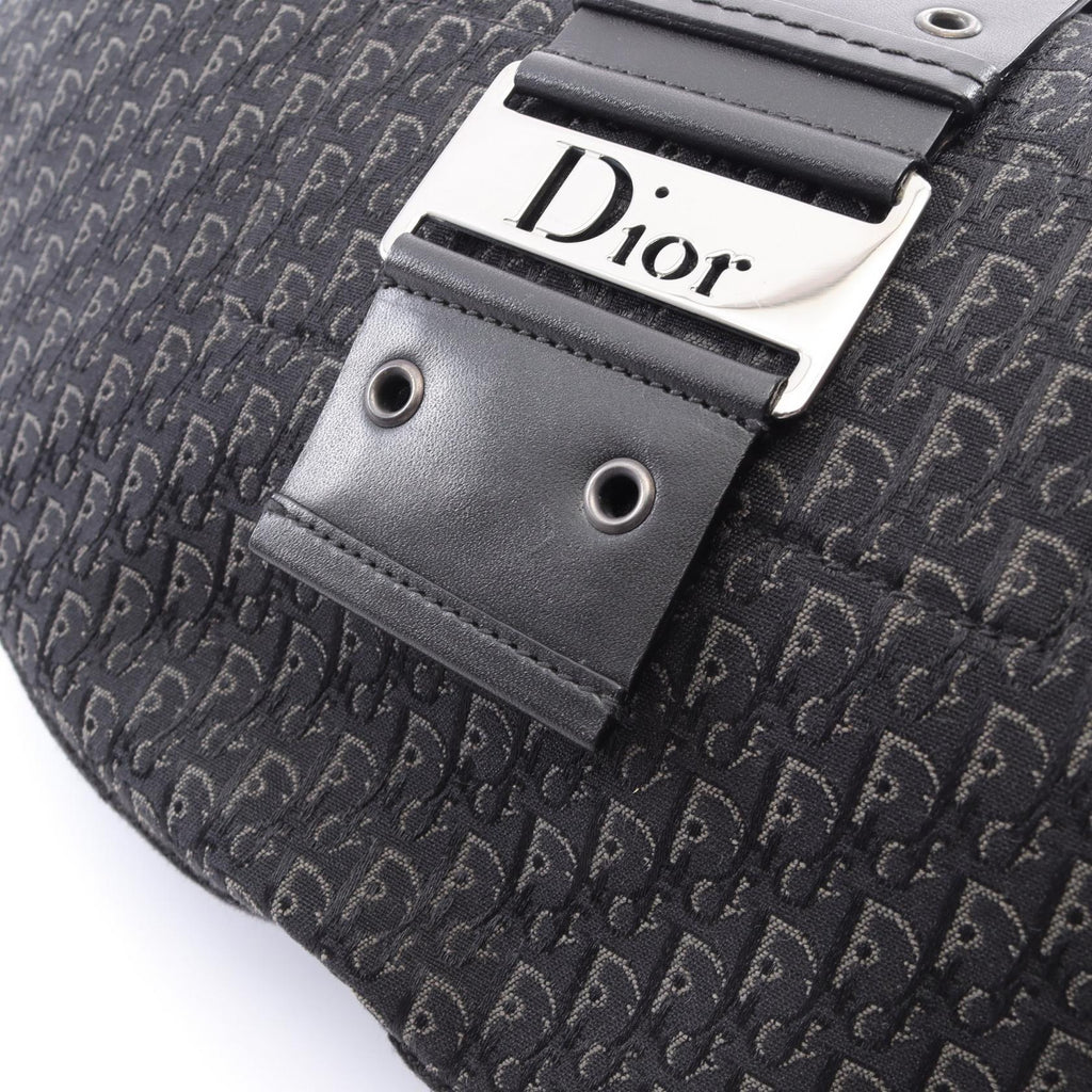 Dior Street Chic Trotter · Canvas & Leather