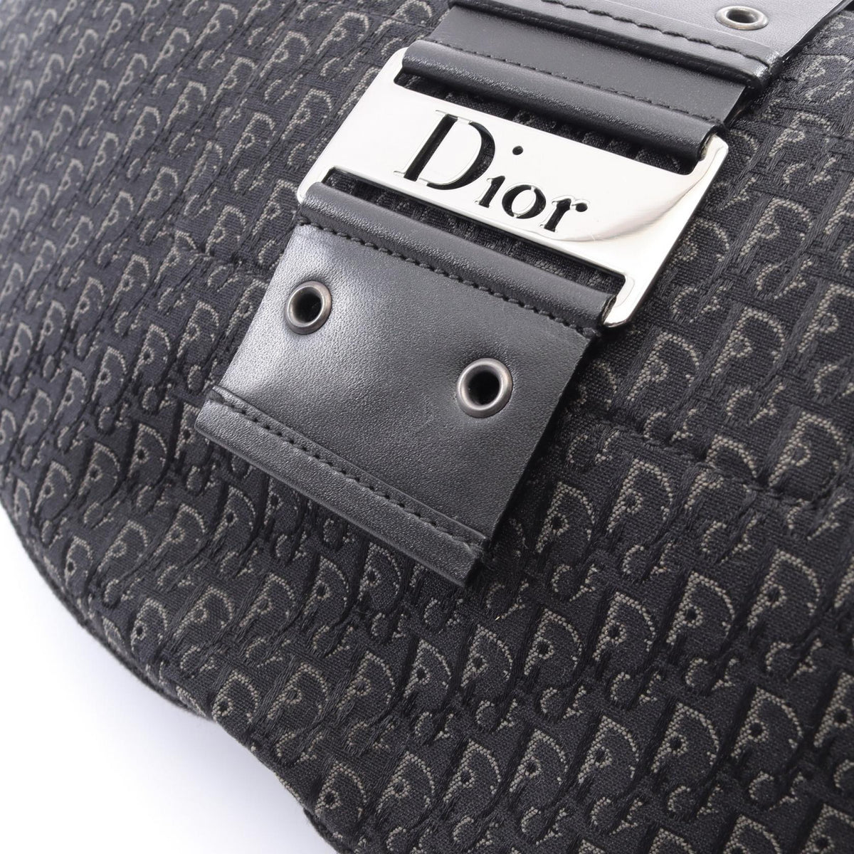 Dior Street Chic Trotter · Canvas & Leather