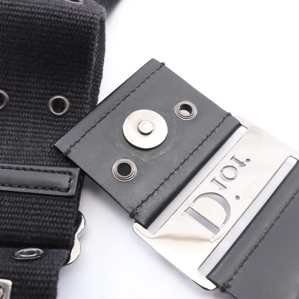 Dior Street Chic Trotter · Canvas & Leather