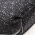 Dior Trotter Tote · Canvas & Leather