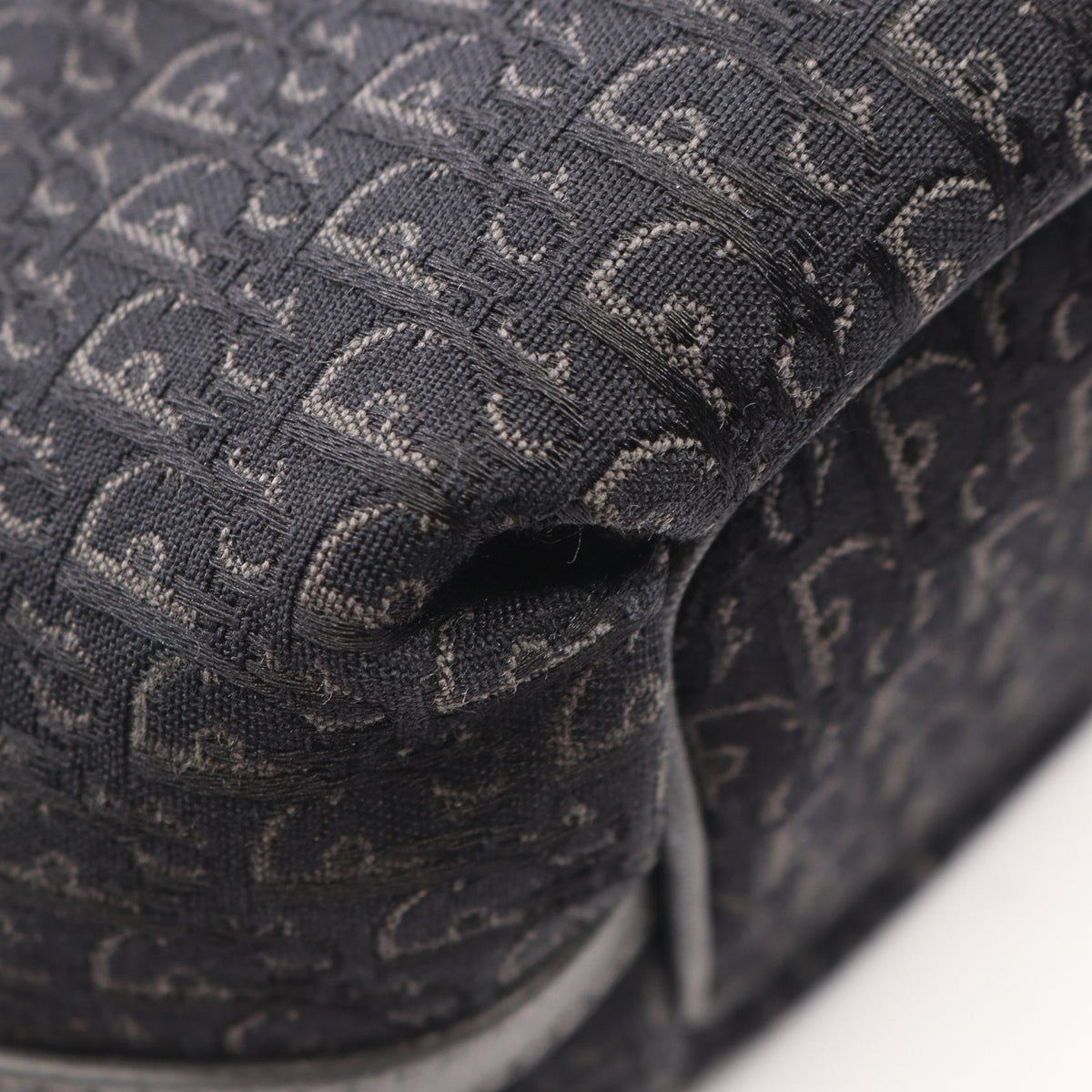 Dior Trotter Tote · Canvas & Leather