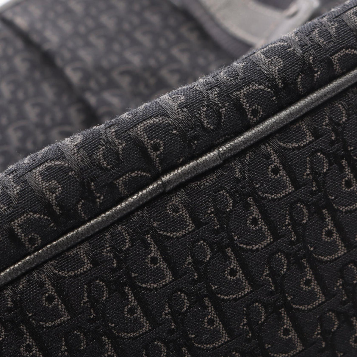 Dior Trotter Tote · Canvas & Leather