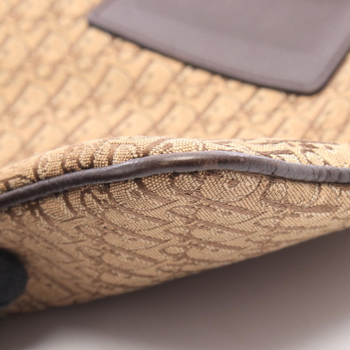 Dior Street Chic Trotter · Canvas