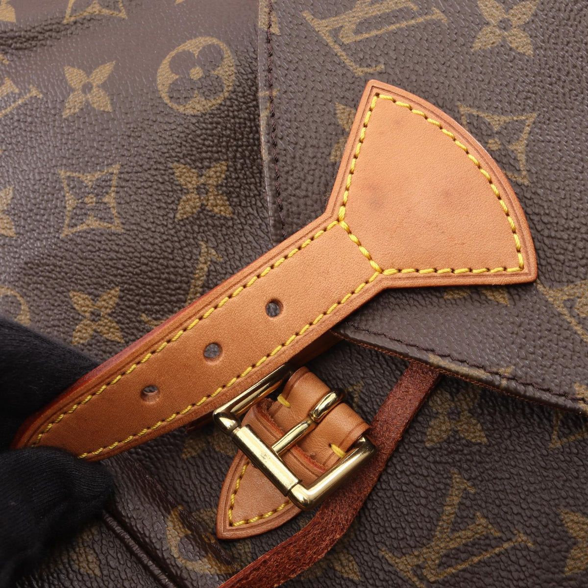 Louis Vuitton Montsouris MM · Monogram Canvas