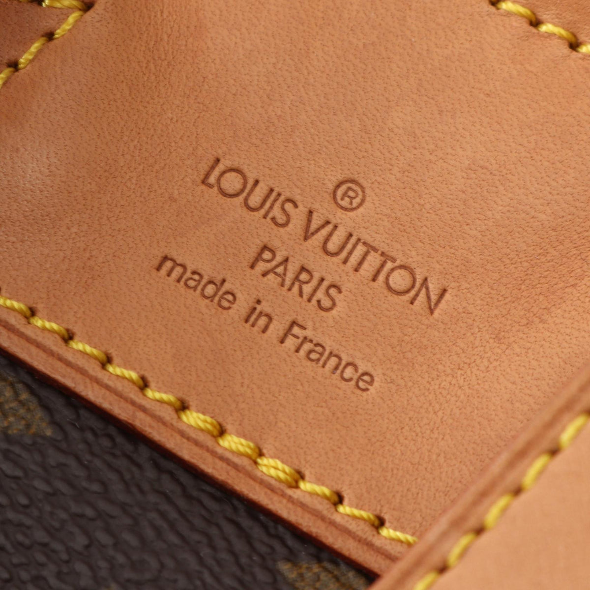 Louis Vuitton Montsouris MM · Monogram Canvas