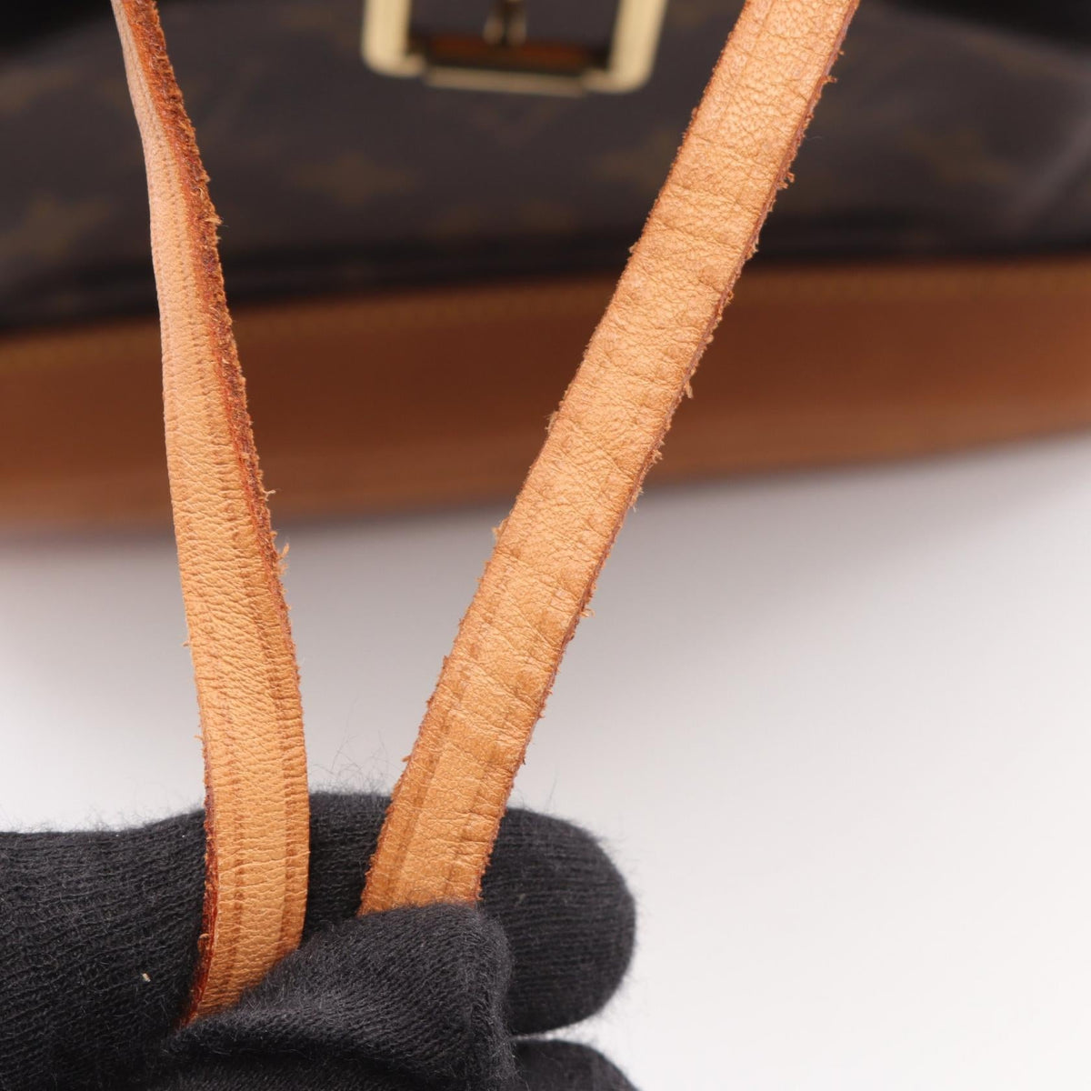 Louis Vuitton Montsouris MM · Monogram Canvas