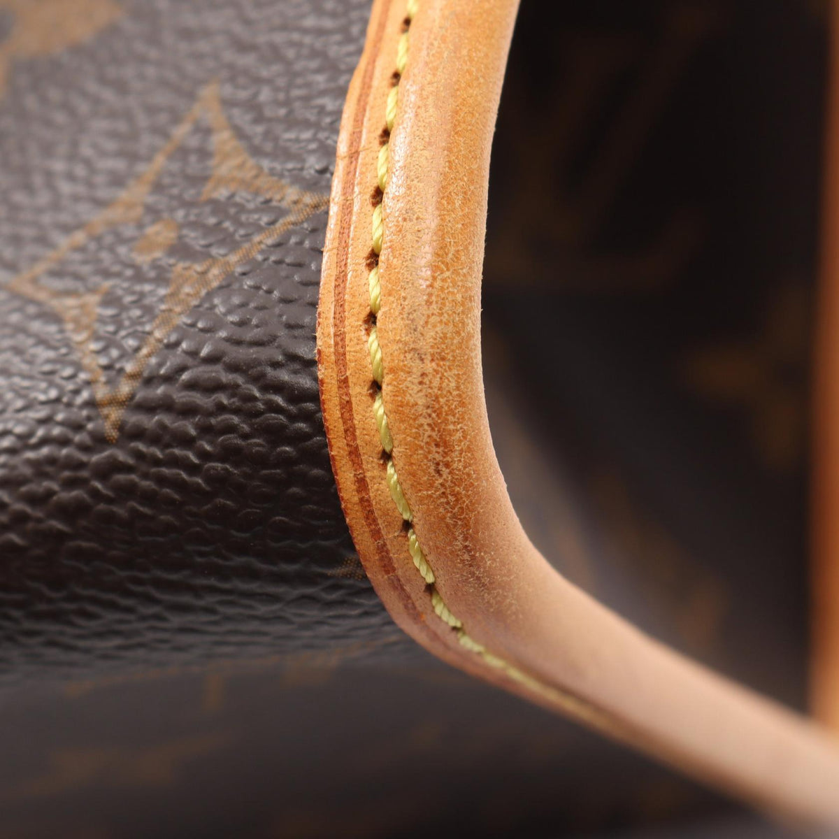 Louis Vuitton Popincourt Haut · Monogram